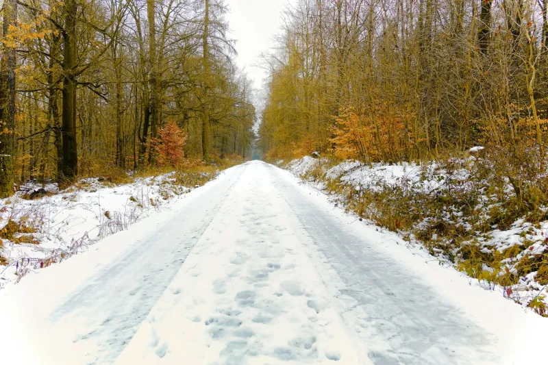 Cold Shoulder, Clear Trails: What Winter Reveals About America's Wild Places