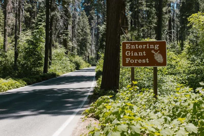 Lottery, Waitlist, Denied: The Paper Trail Standing Between You and America's Wildest Places