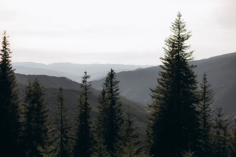 Skip the Lottery: The Insider Playbook for Cracking America's Most Locked-Down Wilderness